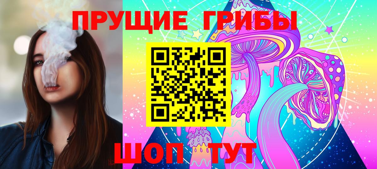 Галлюциногенные грибы Psilocybine cubensis  Вход с VPN  Ефремов 