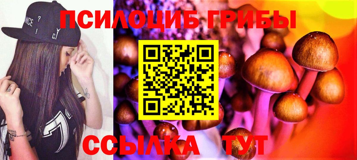 Галлюциногенные грибы мицелий Ефремов