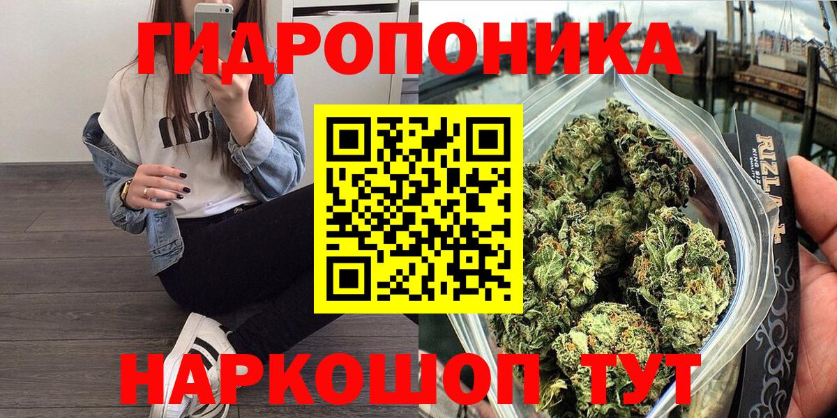Бошки Шишки план  Бошки Шишки Amnesia  Вход с VPN  Бошки марихуана индика  Каннабис план  Ефремов 